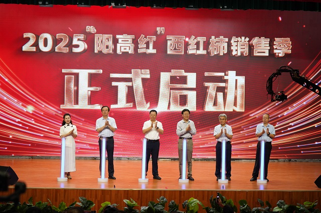 聚“柿”力 謀發(fā)展 2025“陽(yáng)高紅”西紅柿產(chǎn)業(yè)發(fā)展大會(huì)隆重召開(kāi)